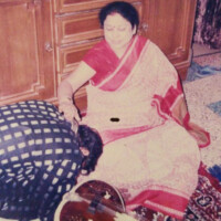 Rajib Karmakar sitarrajib Photos 8 Rajib Karmakar sitarrajib sitar musician Guru Vidushi Krishna Chakravarty